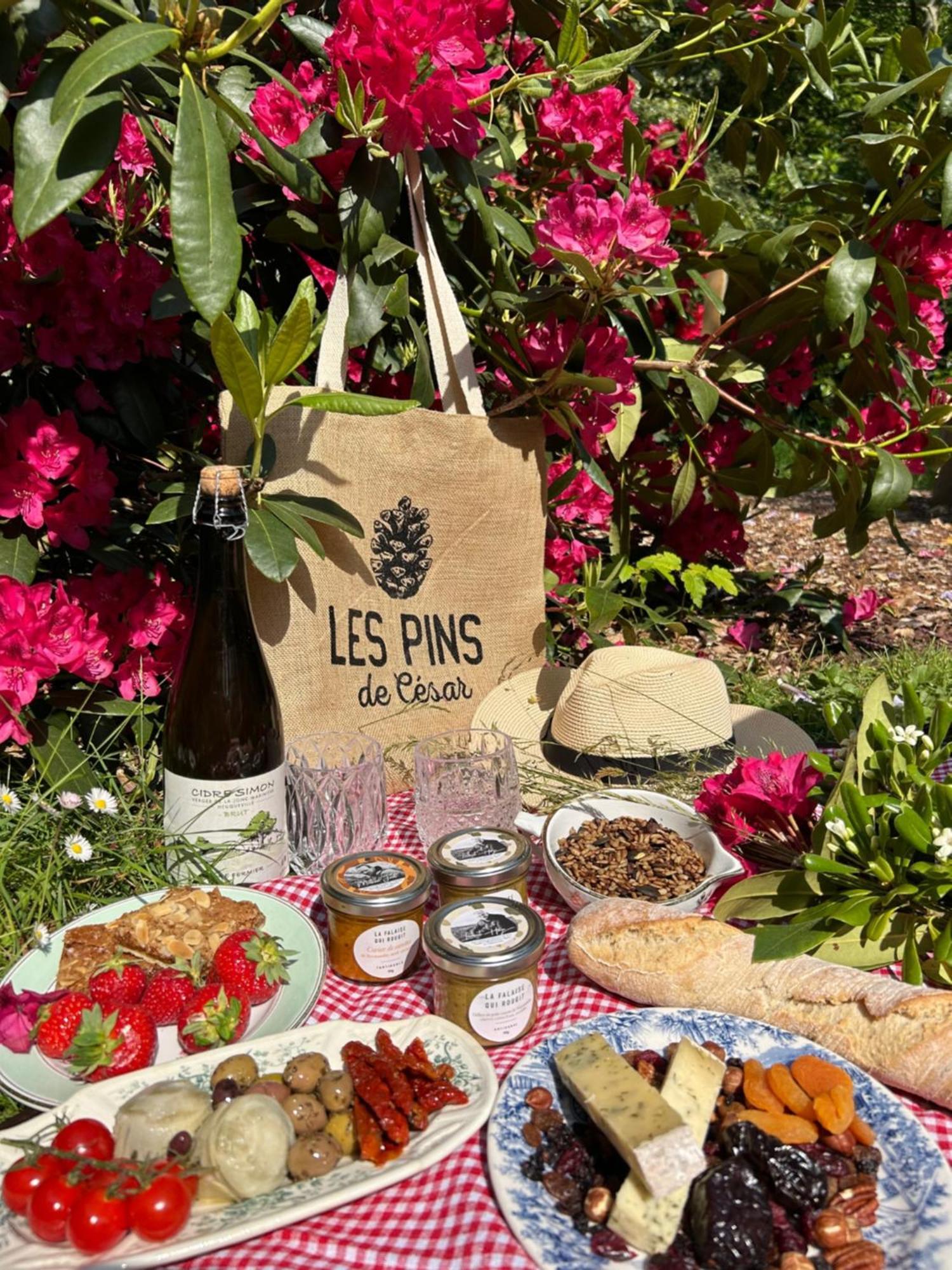 מלון Saint-Jouin-Bruneval Les Pins De Cesar - La Campagne D'Etretat מראה חיצוני תמונה